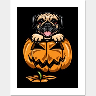 Pug Pumpkin Posters and Art